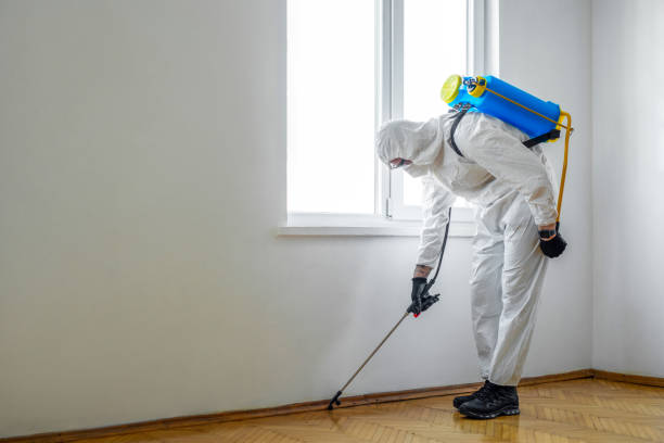 Pest Control for Warehouses in Mesa Del Caballo, AZ